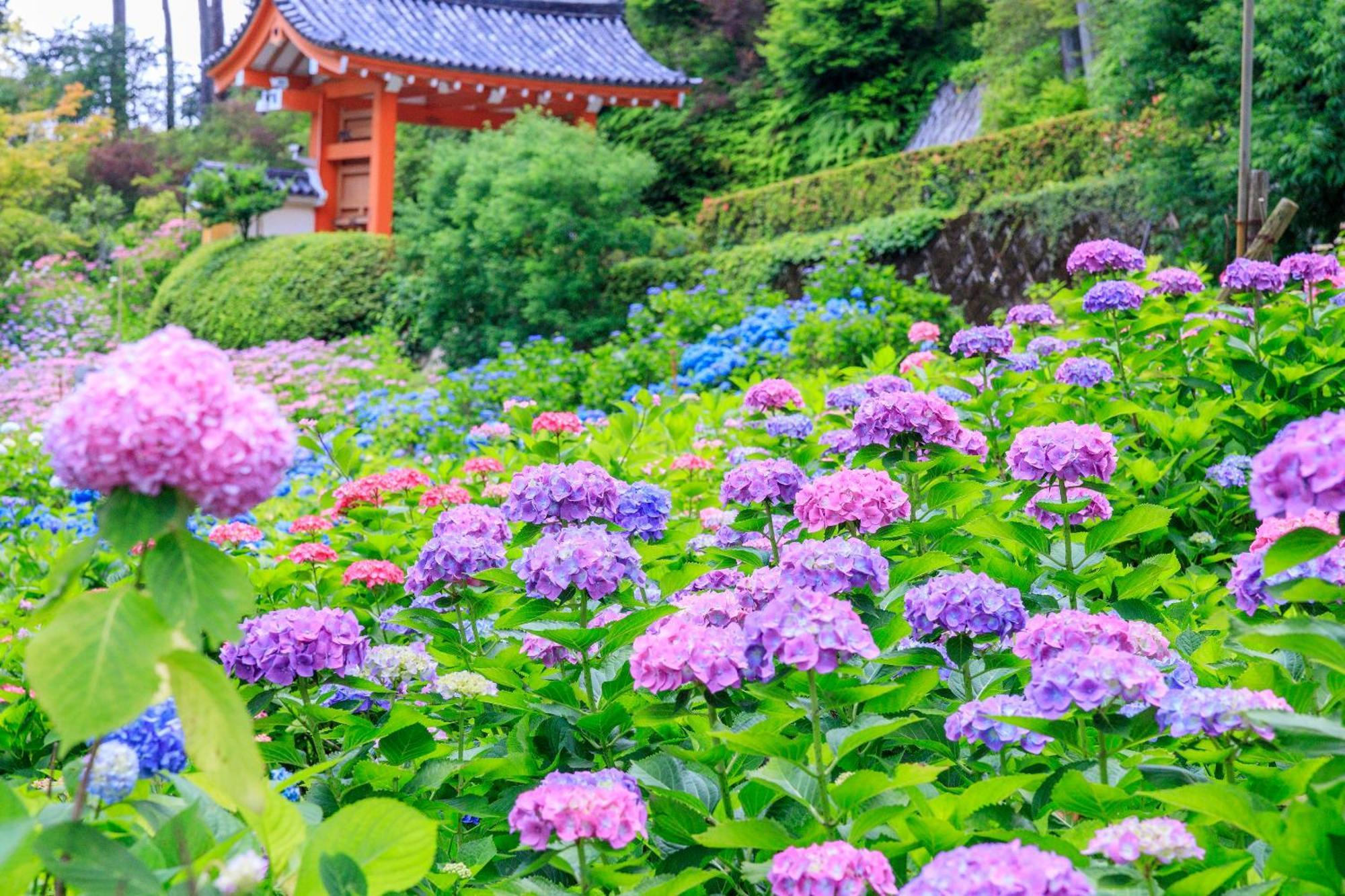 Hotel Mimaru Kyoto Nishinotoin Takatsuji Exteriér fotografie