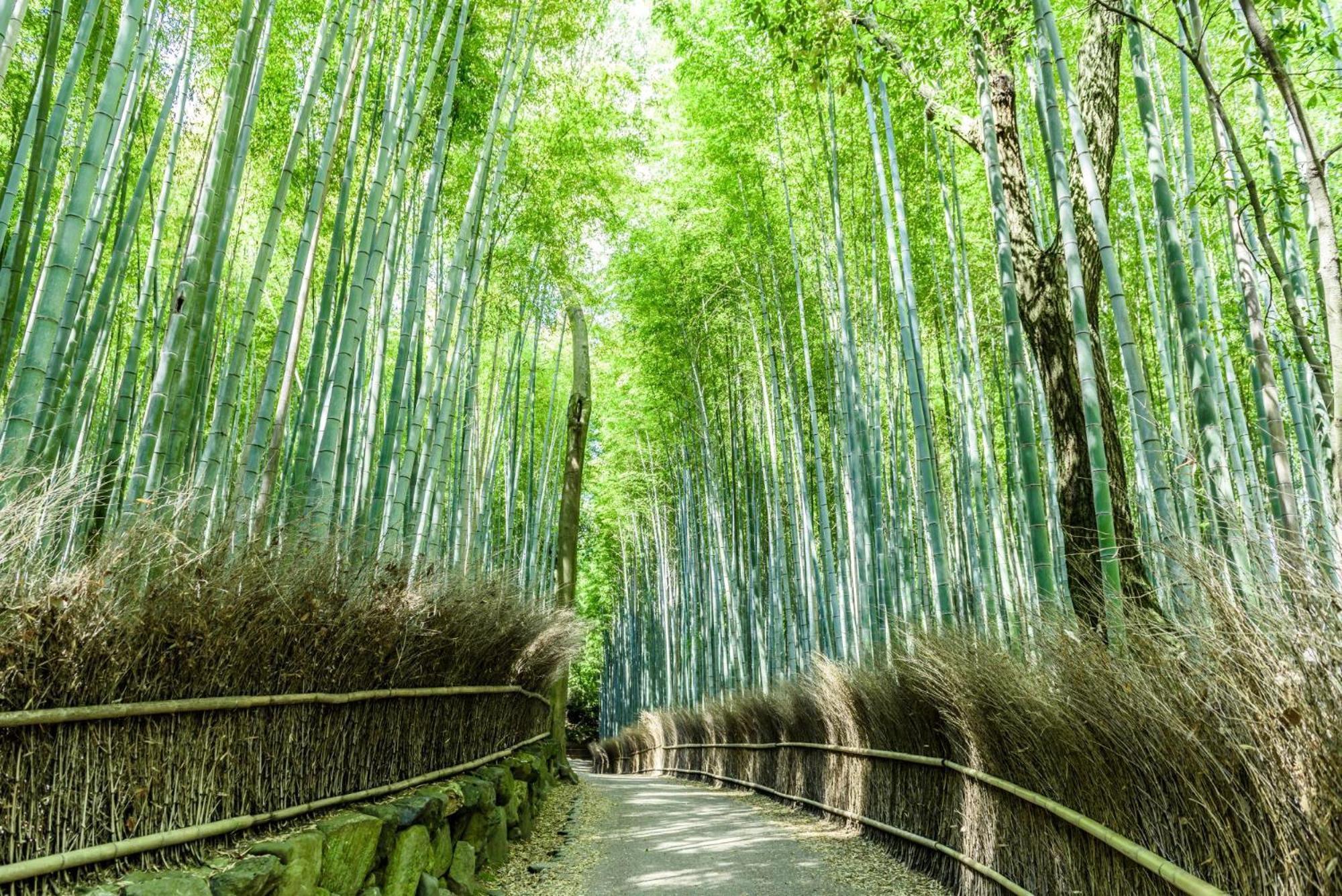 Hotel Mimaru Kyoto Nishinotoin Takatsuji Exteriér fotografie